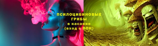 стаф Балахна