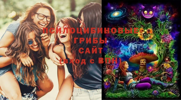 гашик Заволжье