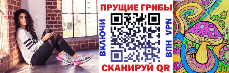 Псилоцибиновые грибы Psilocybine cubensis Николаевск