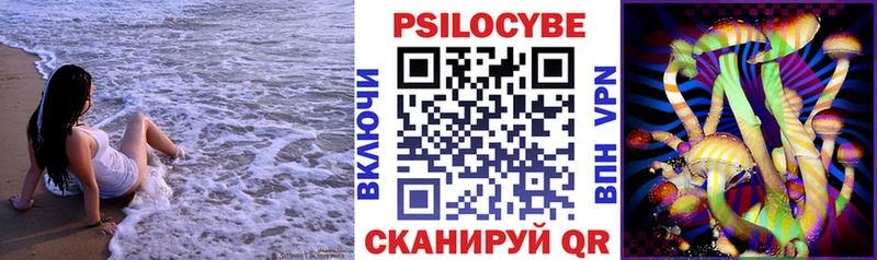 OMG   Николаевск  Псилоцибиновые грибы Cubensis 